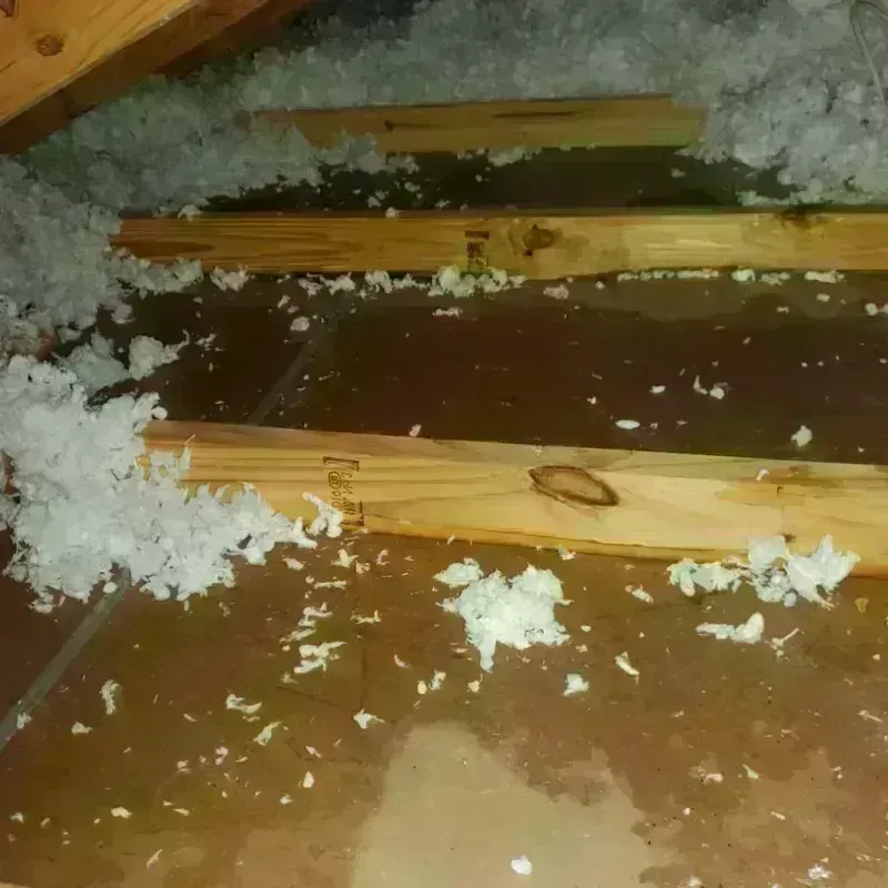 Attic Water Damage in Kent, WA