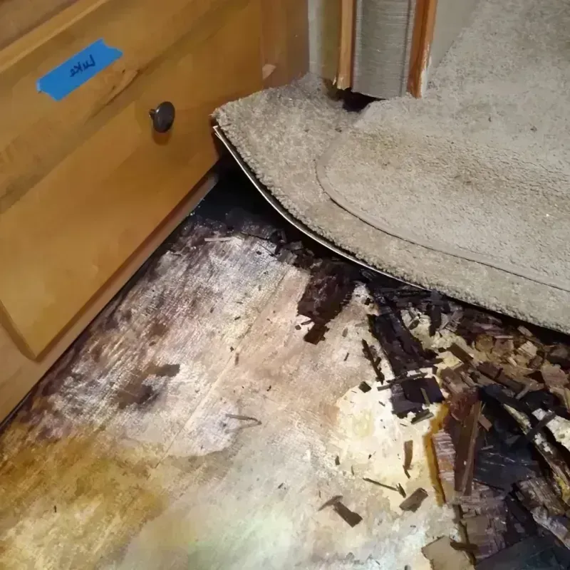 Wood Floor Water Damage in Kent, WA